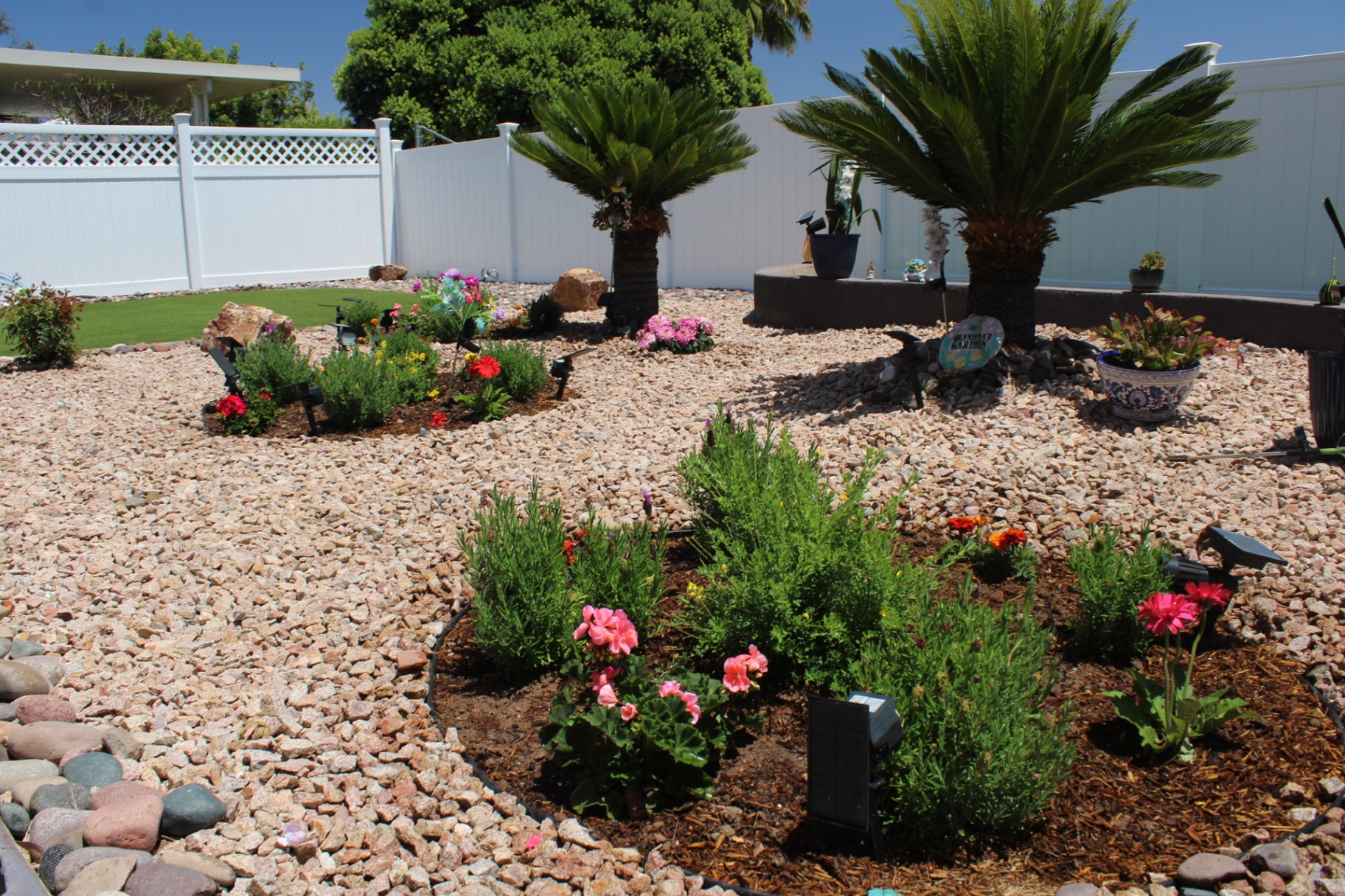 Desert backyard with mulched flower beds, geraniums, and palm trees over decorative rock