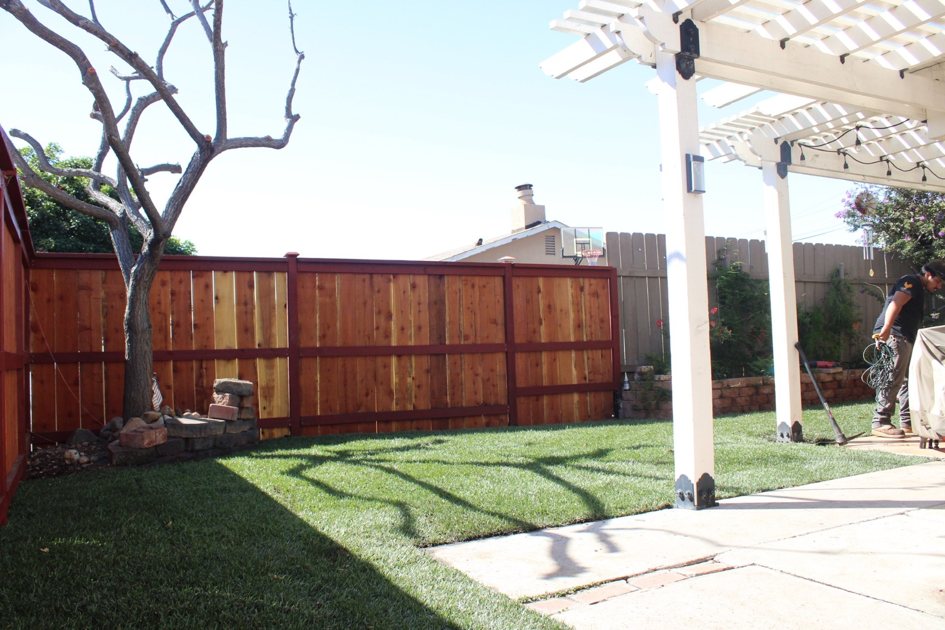 Freshly installed sod lawn in a backyard with redwood fence and pergola